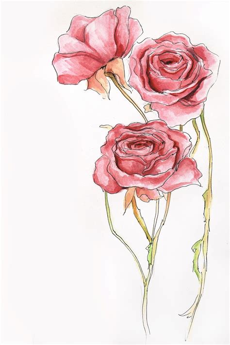 rose dessin tumblr.